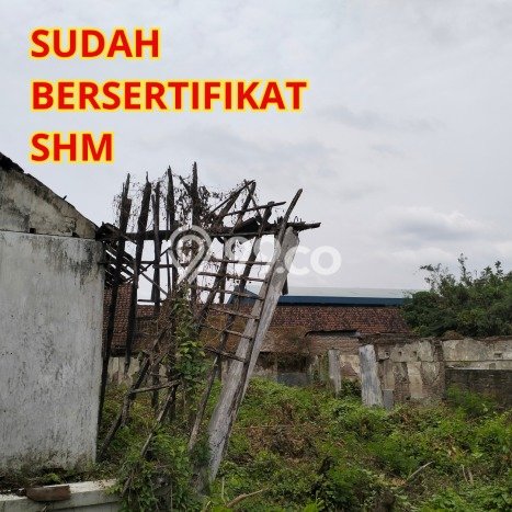 Tanah untuk Dijual Lokasi Ploso, Jombang Luas 3960m2 SHM Tanah untuk Dijual Lokasi Ploso, Jombang Luas 3960m2 SHM