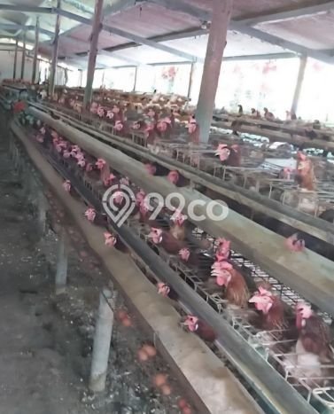 Unit Komersial Dijual di Patuk Gunung Kidul Luas Tanah 5641m2, Luas Bangunan 1500m2 Unit Komersial Dijual di Patuk Gunung Kidul Luas Tanah 5641m2, Luas Bangunan 1500m2
