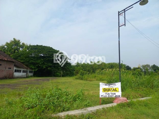 Jarang Ada! Tanah di Sukodadi Punya Luas 8000m2 SHM Jarang Ada! Tanah di Sukodadi Punya Luas 8000m2 SHM