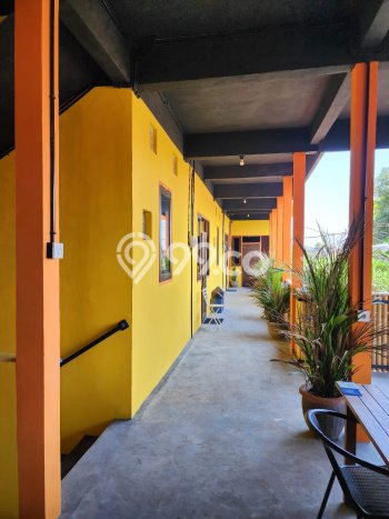 Kost Siap Disewa di Sanur Denpasar Bisa Langsung Huni Kost Siap Disewa di Sanur Denpasar Bisa Langsung Huni