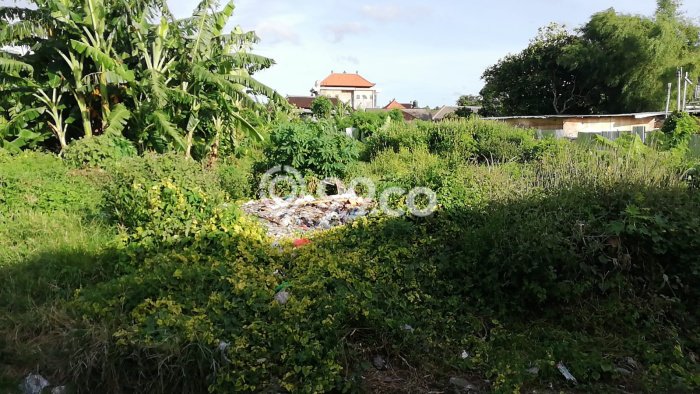 Disewakan Tanah di Badung, Luas 1760m2 Area Berkembang Disewakan Tanah di Badung, Luas 1760m2 Area Berkembang