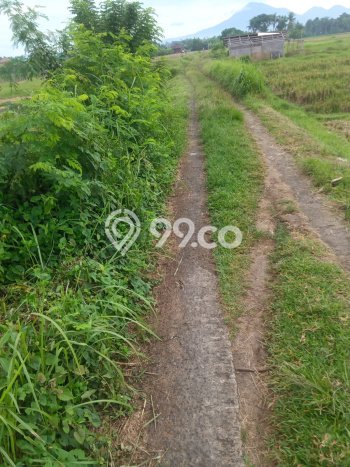 Lahan Investasi Lokasi Selemadeg Tabanan SHM Lahan Investasi Lokasi Selemadeg Tabanan SHM