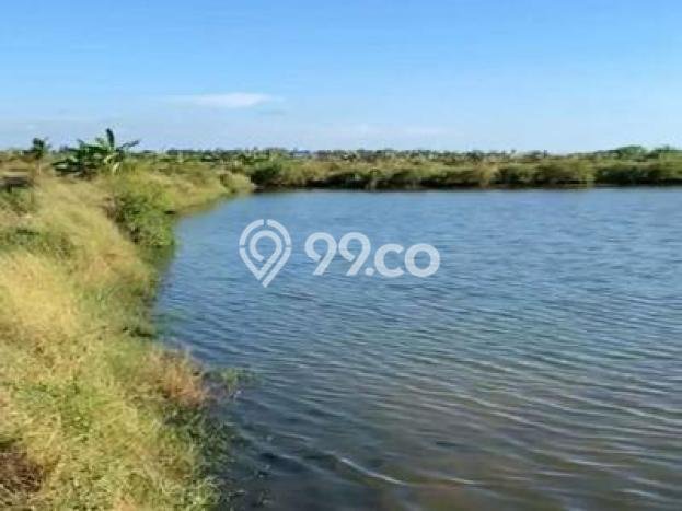Tanah Kosong Dijual di Sidoarjo dengan Area 136816m2 Tanah Kosong Dijual di Sidoarjo dengan Area 136816m2