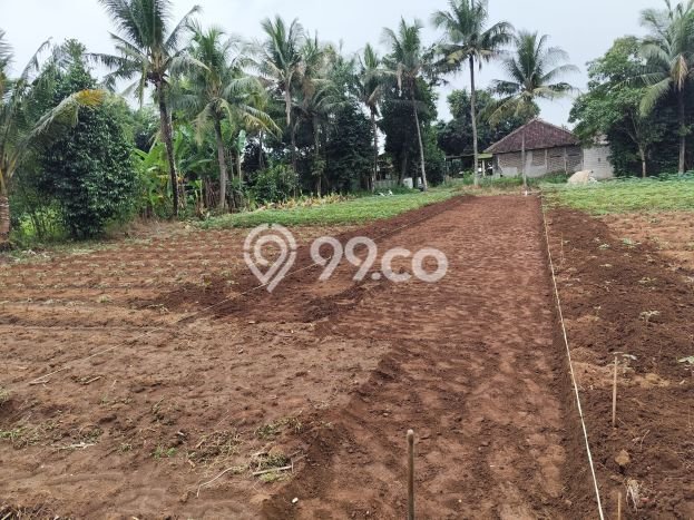 Tanah Dijual Lokasi Rajeg, Tangerang Luas 95m2 Legalitas Aman Tanah Dijual Lokasi Rajeg, Tangerang Luas 95m2 Legalitas Aman