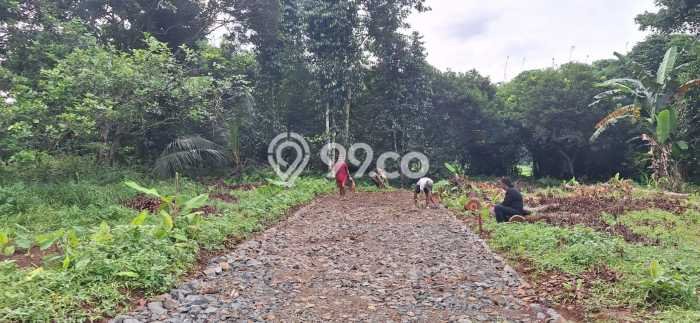 Untuk Dijual Tanah di Setu Bekasi Luas 102m2 SHM Untuk Dijual Tanah di Setu Bekasi Luas 102m2 SHM