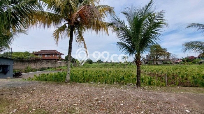 Tanah Dijual di Bogor Seluas 103m2 Strategis Tanah Dijual di Bogor Seluas 103m2 Strategis