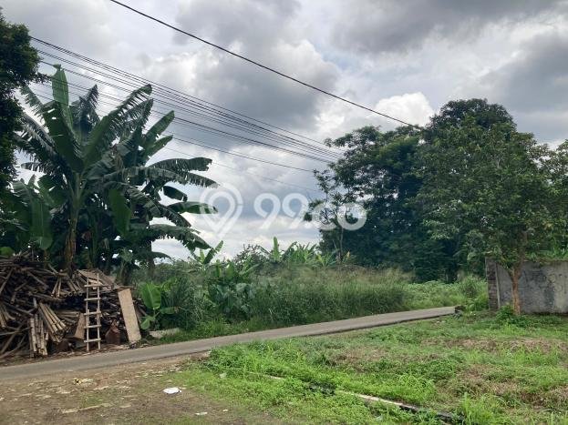 Tanah Kavling Dijual di Taman Yasmin, Bogor dengan Luas Tanah 91m2 Tanah Kavling Dijual di Taman Yasmin, Bogor dengan Luas Tanah 91m2