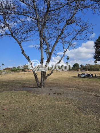 Lahan Dijual Lokasi Strategis di Gianyar dengan Luas 11538m2 Lahan Dijual Lokasi Strategis di Gianyar dengan Luas 11538m2