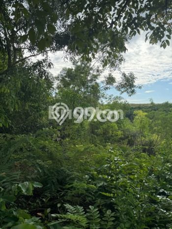 Lahan Kosong Dijual di Badung dengan Area 884m2 Lahan Kosong Dijual di Badung dengan Area 884m2