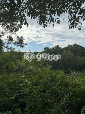 Lahan Kosong Dijual di Badung dengan Area 884m2 Lahan Kosong Dijual di Badung dengan Area 884m2