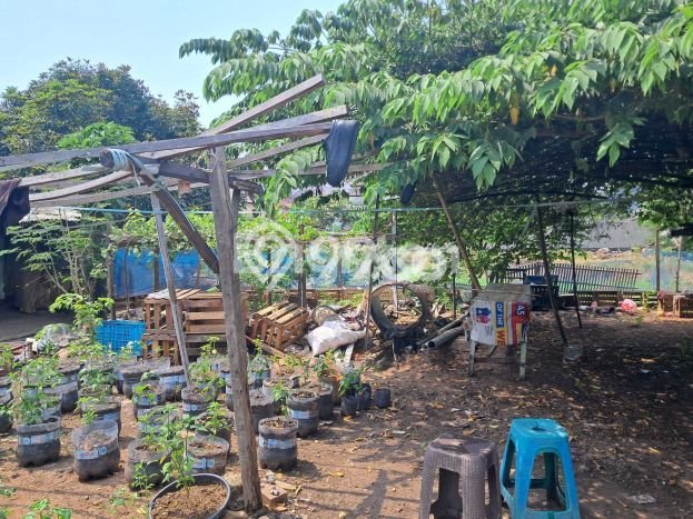 Tanah untuk Dijual Lokasi Cengkareng, Jakarta Barat Luas 2000m2 SHM Tanah untuk Dijual Lokasi Cengkareng, Jakarta Barat Luas 2000m2 SHM