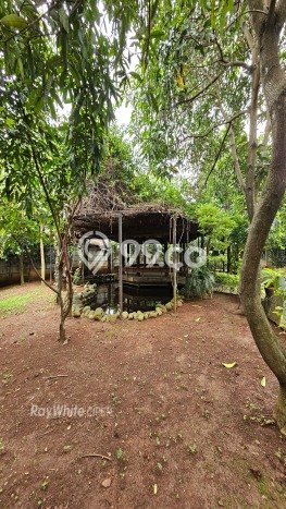 Dijual Rumah Elit Exclusive di Jagakarsa, Jakarta Selatan Dijual Rumah Elit Exclusive di Jagakarsa, Jakarta Selatan