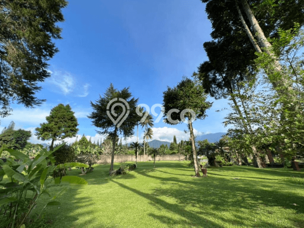 Vila di Cisarua, Area 10000m², Posisi Strategis Vila di Cisarua, Area 10000m², Posisi Strategis
