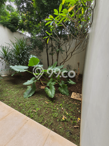 Rumah Luxury Modern Siap Huni di Pejaten Jakarta Selatan Rumah Luxury Modern Siap Huni di Pejaten Jakarta Selatan