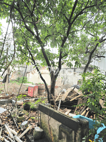 Tanah Dijual Lokasi Menteng, Jakarta Pusat Luas 321m2 Legalitas Aman Tanah Dijual Lokasi Menteng, Jakarta Pusat Luas 321m2 Legalitas Aman