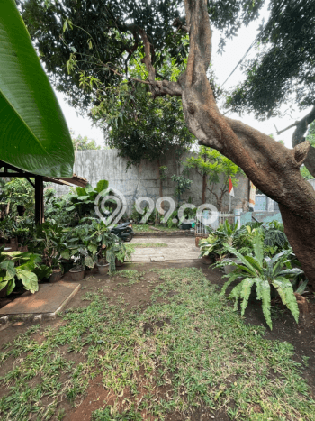 Rumah Luxury Modern Siap Huni di Cipete Jakarta Selatan Rumah Luxury Modern Siap Huni di Cipete Jakarta Selatan