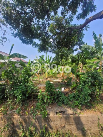 Tanah Investasi Dijual di Jakarta Barat Punya Luas 500m2 Tanah Investasi Dijual di Jakarta Barat Punya Luas 500m2