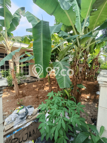 Untuk Dijual Tanah 456m2 di Pondok Indah, Jakarta Selatan Untuk Dijual Tanah 456m2 di Pondok Indah, Jakarta Selatan