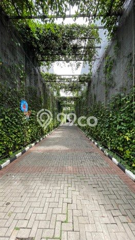 Disewakan Cepat Rumah Kondisi Bagus di Kawasan Kemang, Jakarta Selatan Disewakan Cepat Rumah Kondisi Bagus di Kawasan Kemang, Jakarta Selatan
