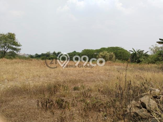 Lahan Kosong Dijual di Cisauk, Tangerang, Luas 33000m2 Area Strategis Lahan Kosong Dijual di Cisauk, Tangerang, Luas 33000m2 Area Strategis