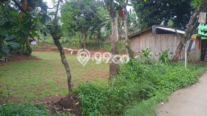 Tanah Kavling untuk Dijual di Bojong Gede Bogor 1807m2 Tanah Kavling untuk Dijual di Bojong Gede Bogor 1807m2