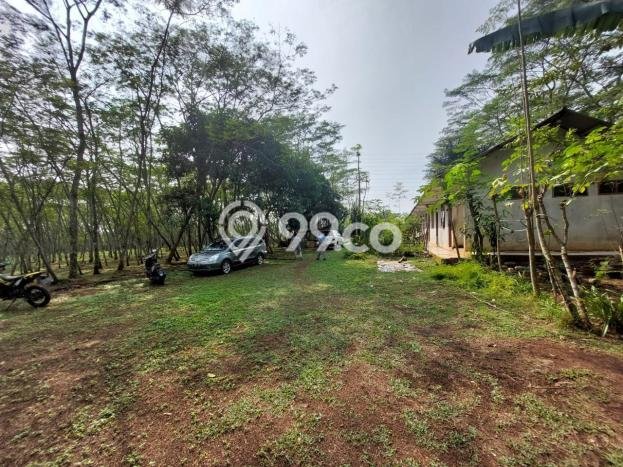 Kavling Tanah di Cikupa Dijual Luas 25000m2 Legalitas SHM Kavling Tanah di Cikupa Dijual Luas 25000m2 Legalitas SHM