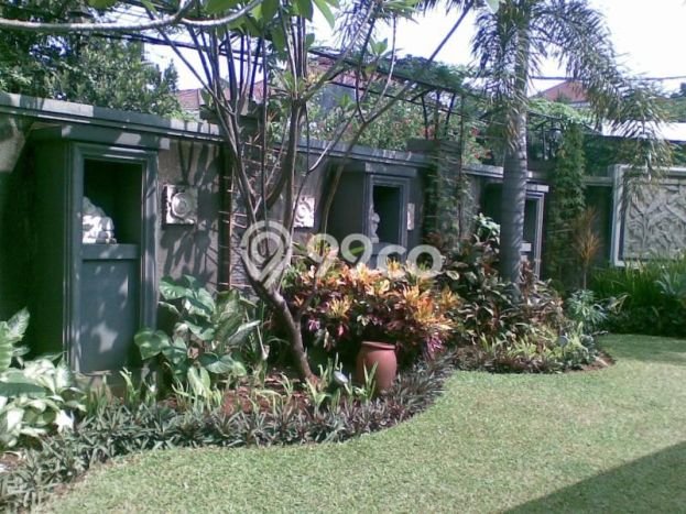 Sewa Rumah Nyaman di Cilandak Harga Rp 550 Juta/ Tahun Sewa Rumah Nyaman di Cilandak Harga Rp 550 Juta/ Tahun