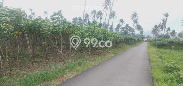 Jarang Ada! Tanah di Ciseeng Punya Luas 97600m2 - Jarang Ada! Tanah di Ciseeng Punya Luas 97600m2 -