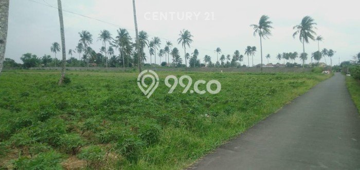 Jarang Ada! Tanah di Ciseeng Punya Luas 97600m2 - Jarang Ada! Tanah di Ciseeng Punya Luas 97600m2 -