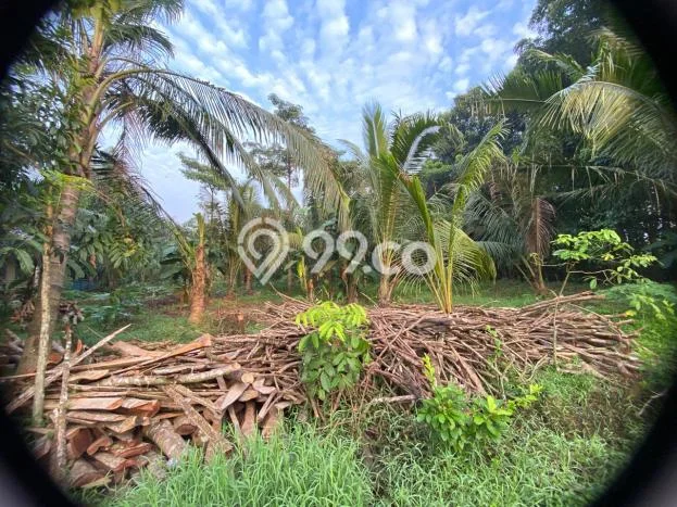 AREA PROSPEKTIF! Tanah di Pamarayan, Luas 2862m2m², Akses Fasilitas Umum AREA PROSPEKTIF! Tanah di Pamarayan, Luas 2862m2m², Akses Fasilitas Umum