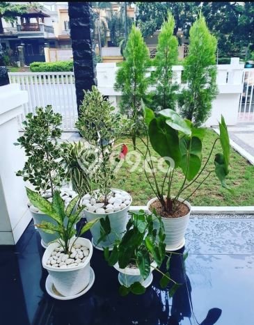 Rumah area Kota Wisata, 3 KT, Area Strategis, LT 180m² Bangunan 200m² Rumah area Kota Wisata, 3 KT, Area Strategis, LT 180m² Bangunan 200m²