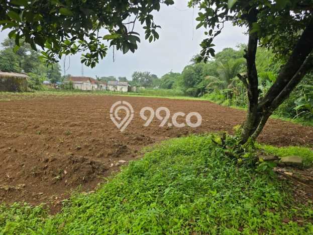 Tanah Kavling di Dramaga Dijual dengan Luas 6689m2 Tanah Kavling di Dramaga Dijual dengan Luas 6689m2