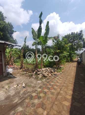 Tanah untuk Dijual Lokasi Bogor Utara, Bogor Luas 2000m2 PPJB Tanah untuk Dijual Lokasi Bogor Utara, Bogor Luas 2000m2 PPJB