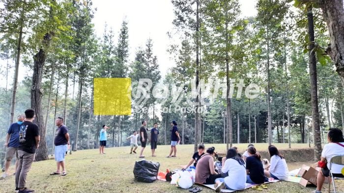 Tanah Investasi Dijual di Bandung Punya Luas 5600m2 Tanah Investasi Dijual di Bandung Punya Luas 5600m2