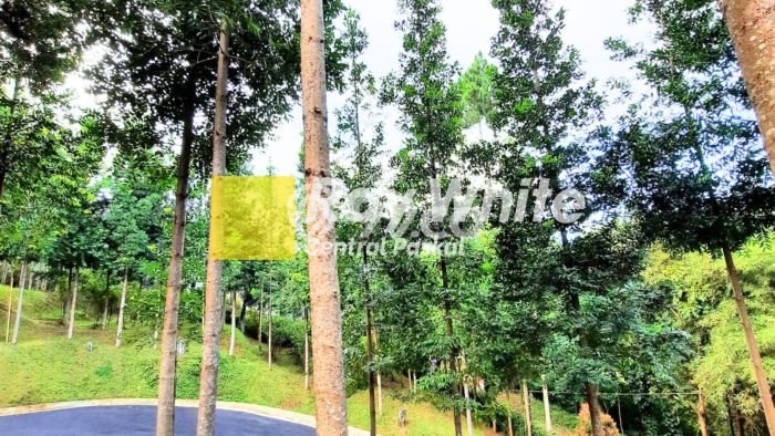 Tanah Investasi Dijual di Bandung Punya Luas 5600m2 Tanah Investasi Dijual di Bandung Punya Luas 5600m2