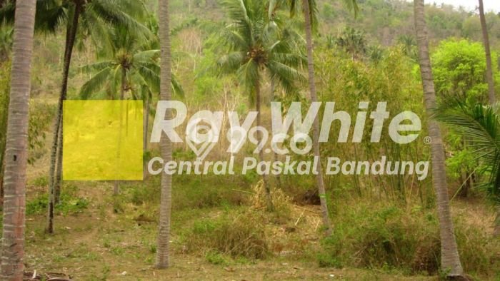 Tanah Dijual Area Strategis di Lombok Badung 5200m2 Tanah Dijual Area Strategis di Lombok Badung 5200m2