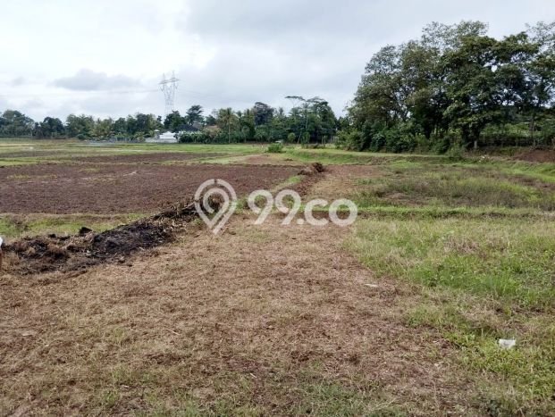 Kavling Tanah di Serang Dijual Luas 100000m2 Legalitas SHM Kavling Tanah di Serang Dijual Luas 100000m2 Legalitas SHM