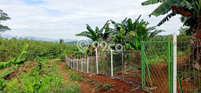 Tanah Dijual Lokasi Cibatu, Purwakarta Luas 10080m2 Legalitas Aman Tanah Dijual Lokasi Cibatu, Purwakarta Luas 10080m2 Legalitas Aman