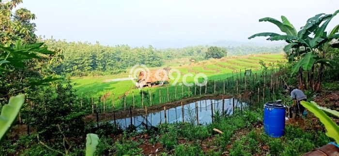 Tanah Dijual Lokasi Cibatu, Purwakarta Luas 10080m2 Legalitas Aman Tanah Dijual Lokasi Cibatu, Purwakarta Luas 10080m2 Legalitas Aman