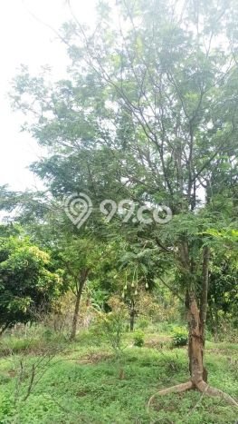 Tanah Dijual Lokasi Cibatu, Purwakarta Luas 10080m2 Legalitas Aman Tanah Dijual Lokasi Cibatu, Purwakarta Luas 10080m2 Legalitas Aman