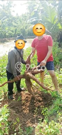 Tanah Dijual Lokasi Cibatu, Purwakarta Luas 10080m2 Legalitas Aman Tanah Dijual Lokasi Cibatu, Purwakarta Luas 10080m2 Legalitas Aman