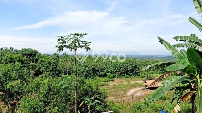 Tanah Dijual Lokasi Cibatu, Purwakarta Luas 10080m2 Legalitas Aman Tanah Dijual Lokasi Cibatu, Purwakarta Luas 10080m2 Legalitas Aman