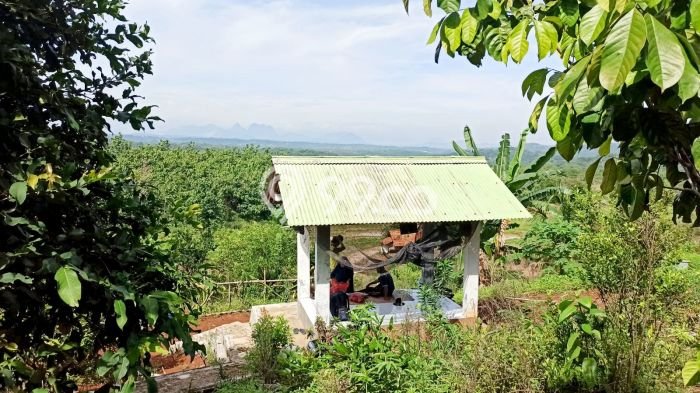 Tanah Dijual Lokasi Cibatu, Purwakarta Luas 10080m2 Legalitas Aman Tanah Dijual Lokasi Cibatu, Purwakarta Luas 10080m2 Legalitas Aman