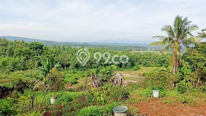 Tanah Dijual Lokasi Cibatu, Purwakarta Luas 10080m2 Legalitas Aman Tanah Dijual Lokasi Cibatu, Purwakarta Luas 10080m2 Legalitas Aman