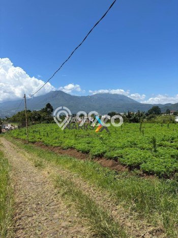 Kavling Tanah di Bumiaji Dijual Luas 2689m2 Legalitas SHM Kavling Tanah di Bumiaji Dijual Luas 2689m2 Legalitas SHM