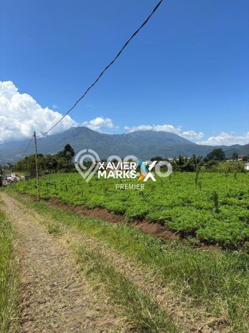 Kavling Tanah di Bumiaji Dijual Luas 2689m2 Legalitas SHM Kavling Tanah di Bumiaji Dijual Luas 2689m2 Legalitas SHM