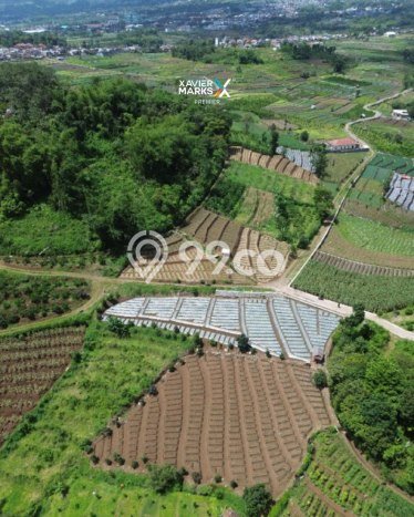 Untuk Dijual Tanah di Batu Batu Luas 2919m2 SHM Untuk Dijual Tanah di Batu Batu Luas 2919m2 SHM