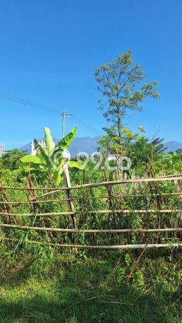 Tanah Kavling Dijual di Malang dengan Spesifikasi 1652m2 Tanah Kavling Dijual di Malang dengan Spesifikasi 1652m2