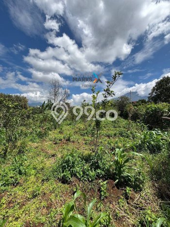 Kavling Tanah di Bumiaji Dijual Luas 2689m2 Legalitas SHM Kavling Tanah di Bumiaji Dijual Luas 2689m2 Legalitas SHM