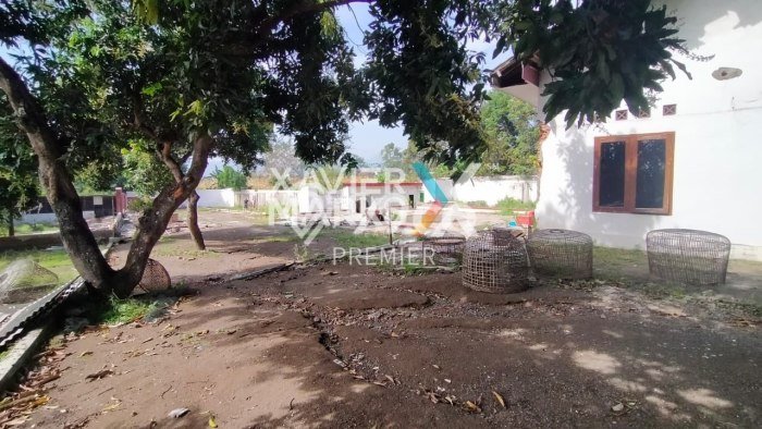 Dijual Tanah di Purwosari Pasuruan Luas 3980m2 SHM Dijual Tanah di Purwosari Pasuruan Luas 3980m2 SHM